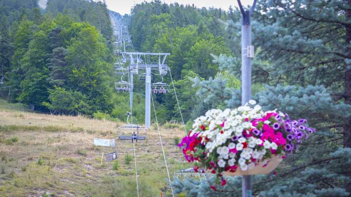 Hotel-Restaurant - Montclar